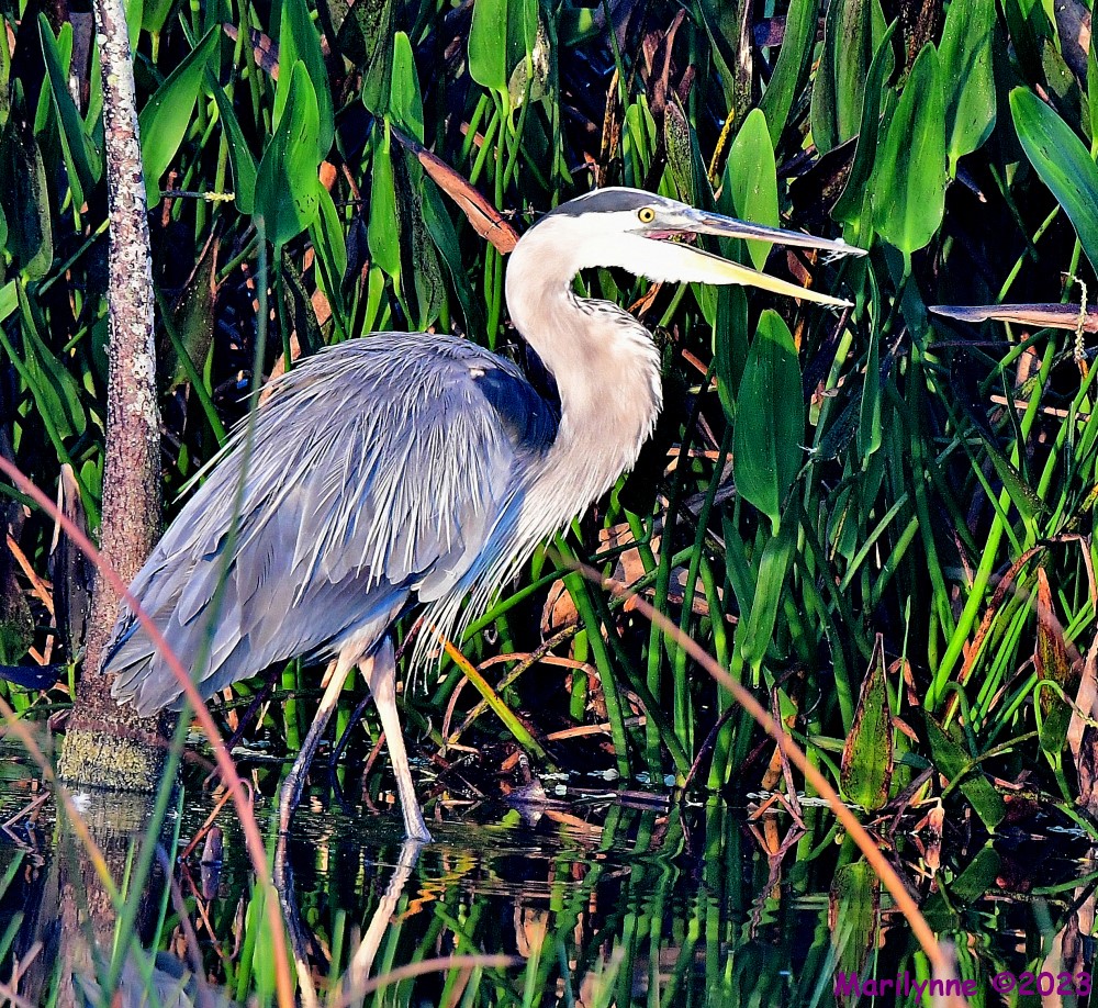 DSC_2704_001.JPG