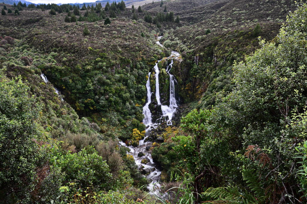 DSC_2705.jpg
