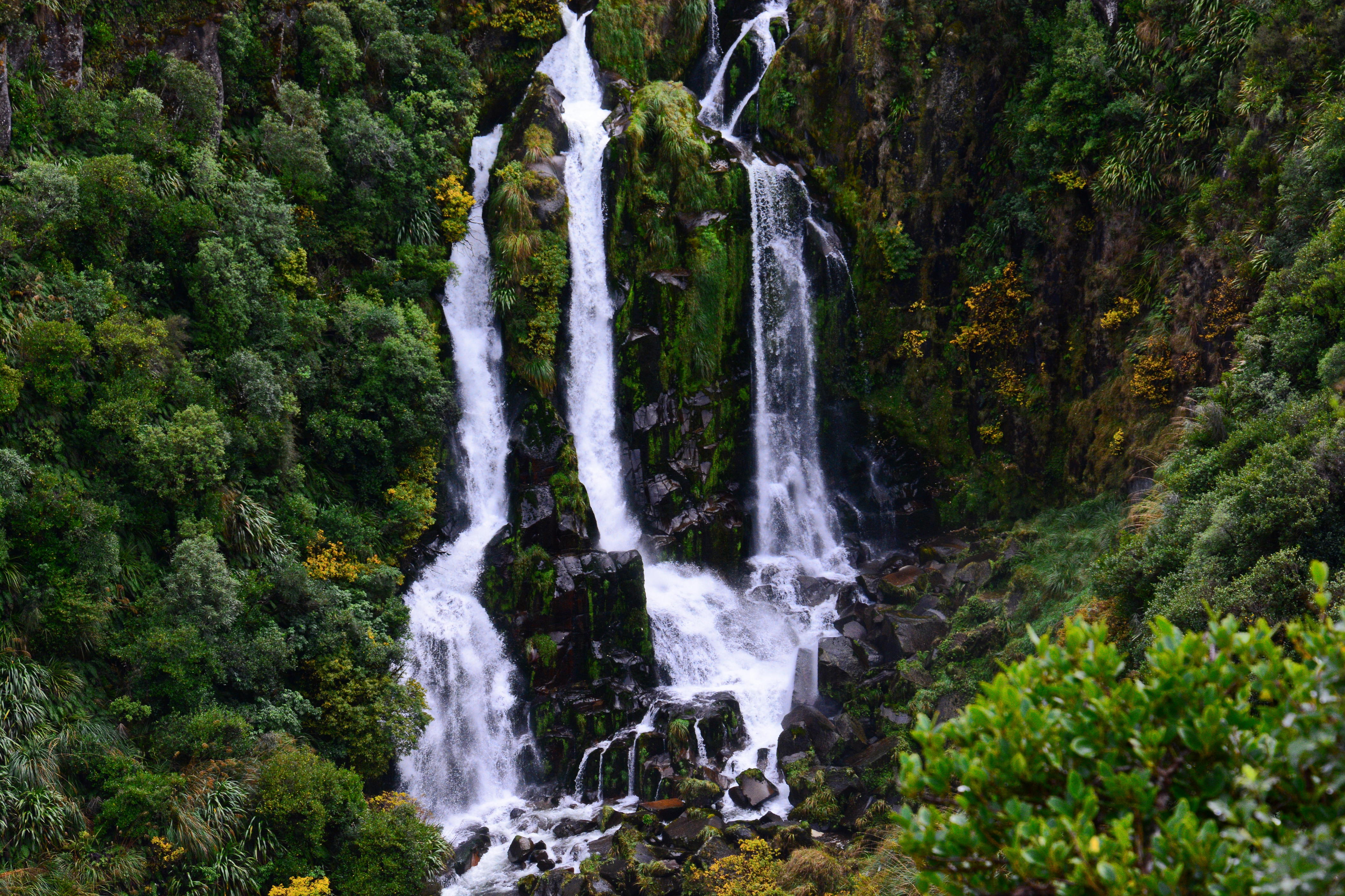 DSC_2706.jpg