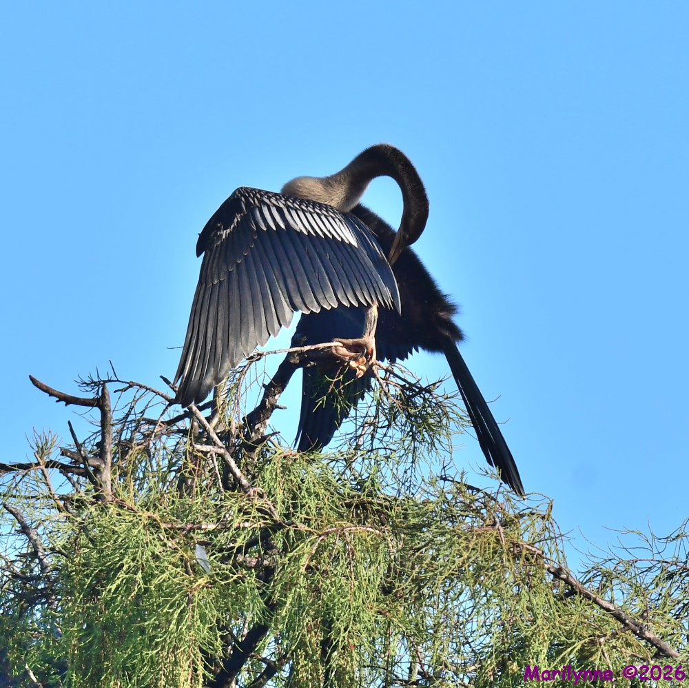 DSC_2708_001.JPG