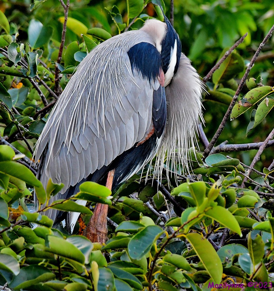 DSC_2711_001.JPG