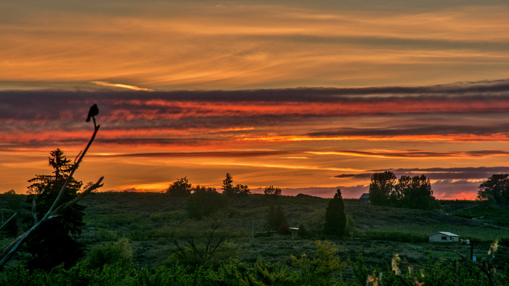 DSC_2713.jpg