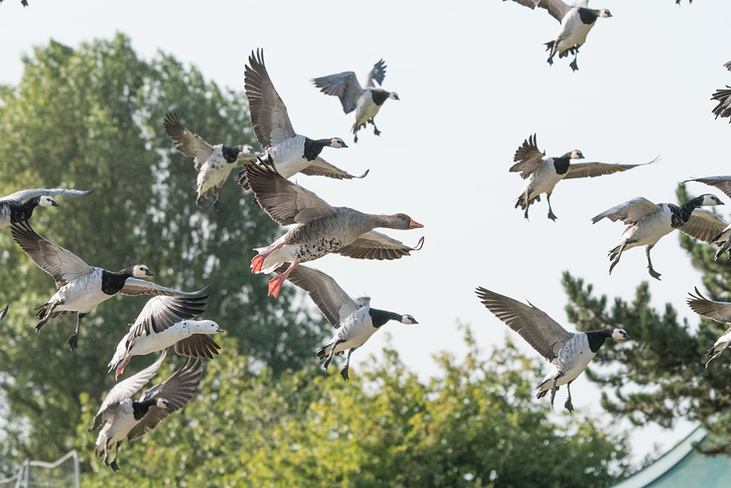 DSC_2715.jpg