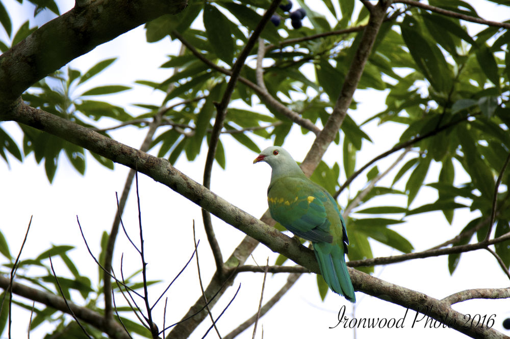 DSC_2717.jpg