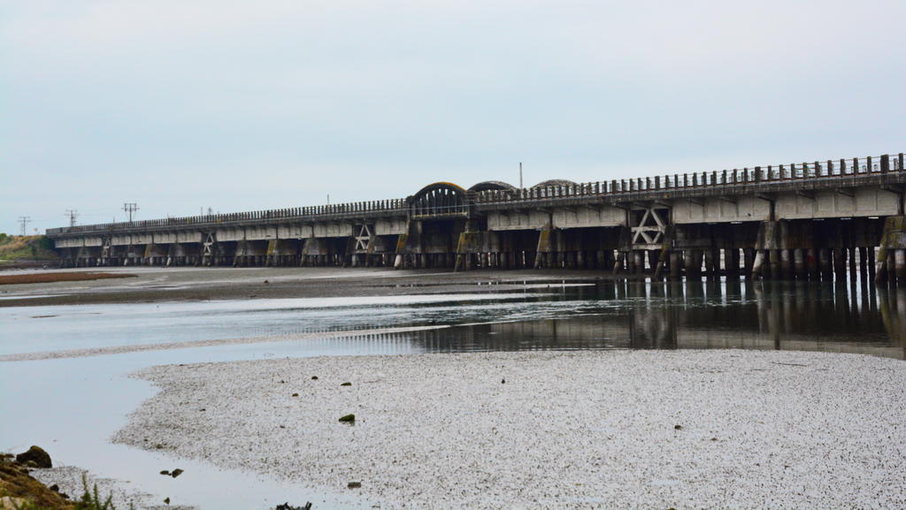 DSC_2718.jpg