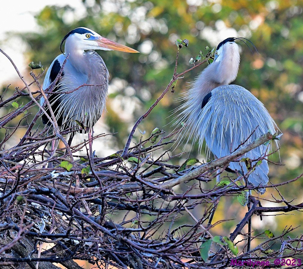 DSC_2722_001.JPG