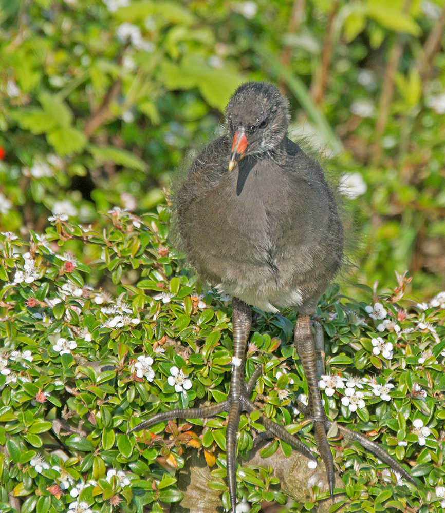 DSC_2723.jpg