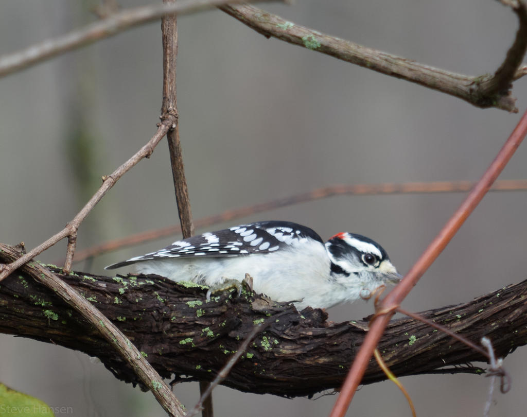 DSC_2725.jpg