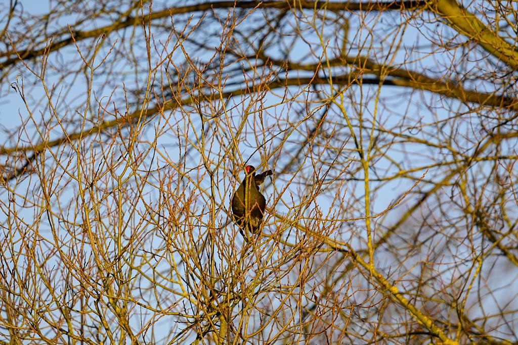 DSC_2725.jpg