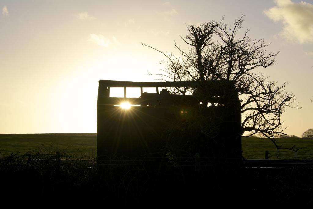 DSC_2725.jpg