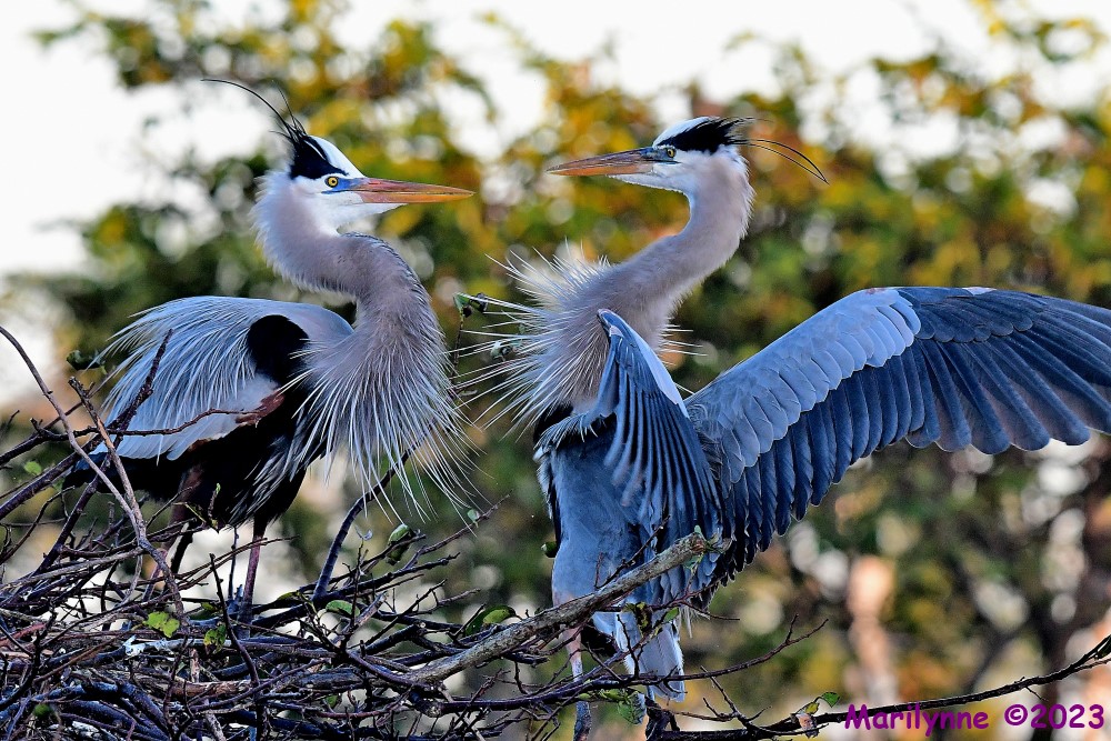 DSC_2727_001.JPG