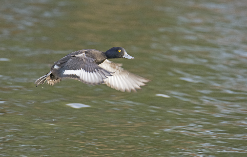 DSC_2728.jpg