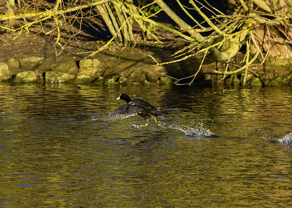 DSC_2731.jpg