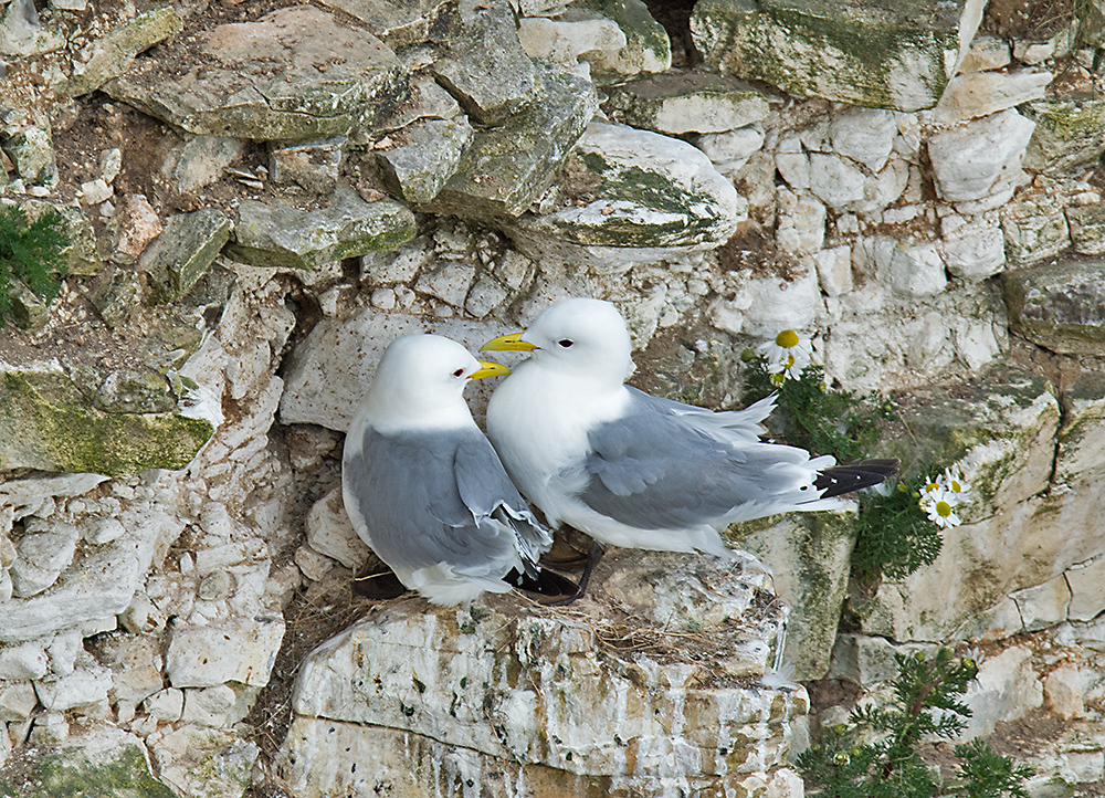 DSC_2735.jpg