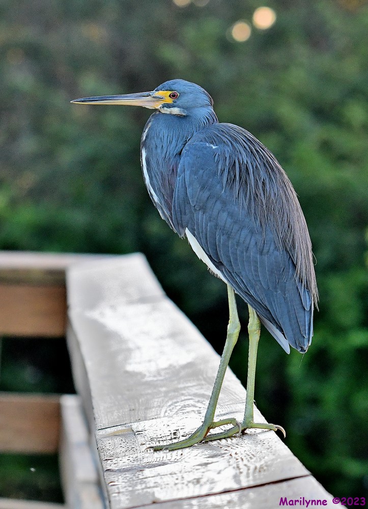 DSC_2735_001.JPG