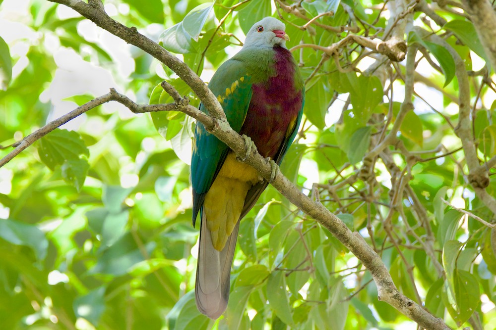 DSC_2736.jpg