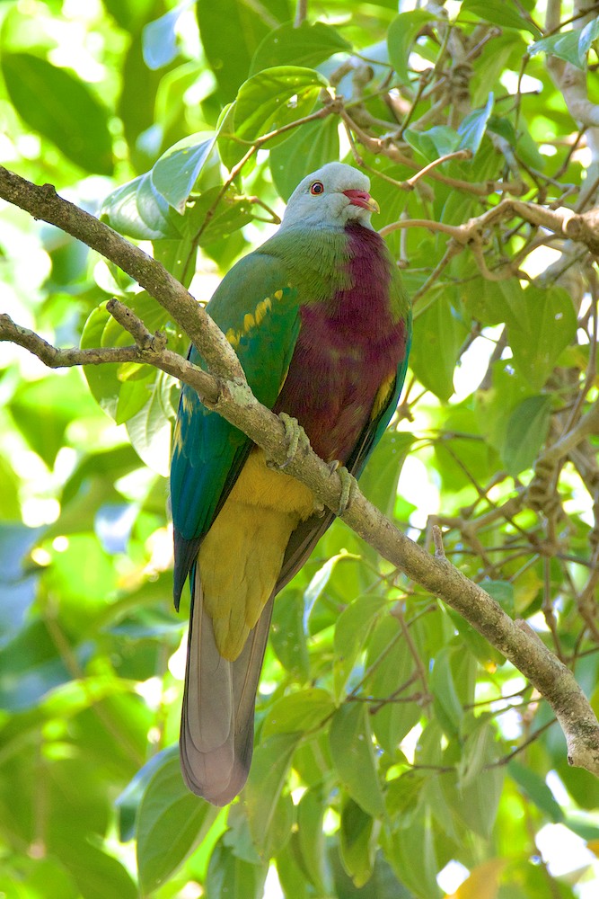 DSC_2737.jpg