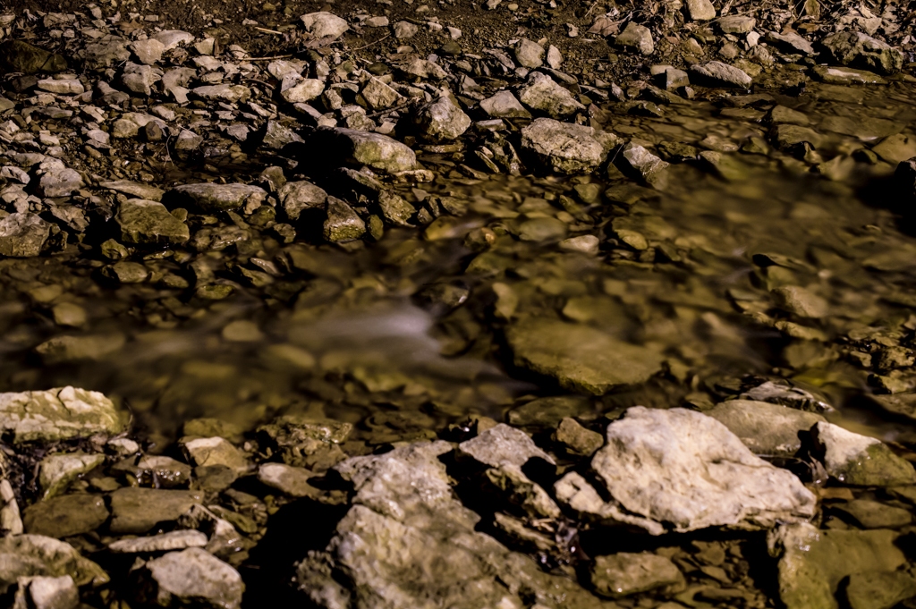 DSC_2737_150312_1024_001-2.jpg