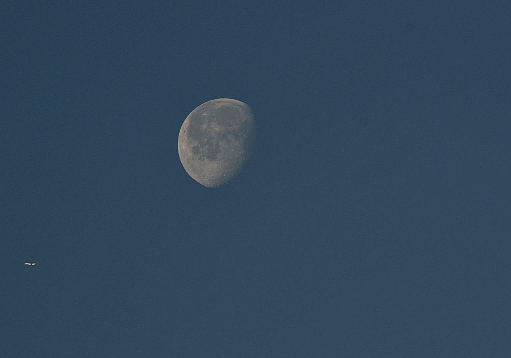 DSC_2738.jpg