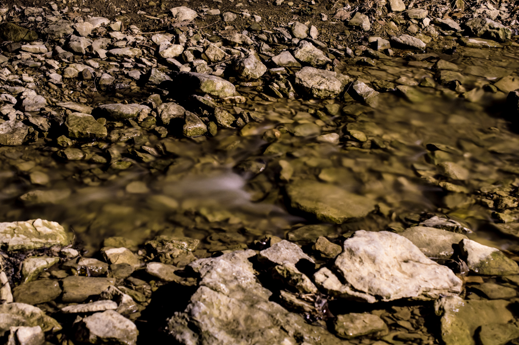DSC_2738_150312_1024_001.jpg