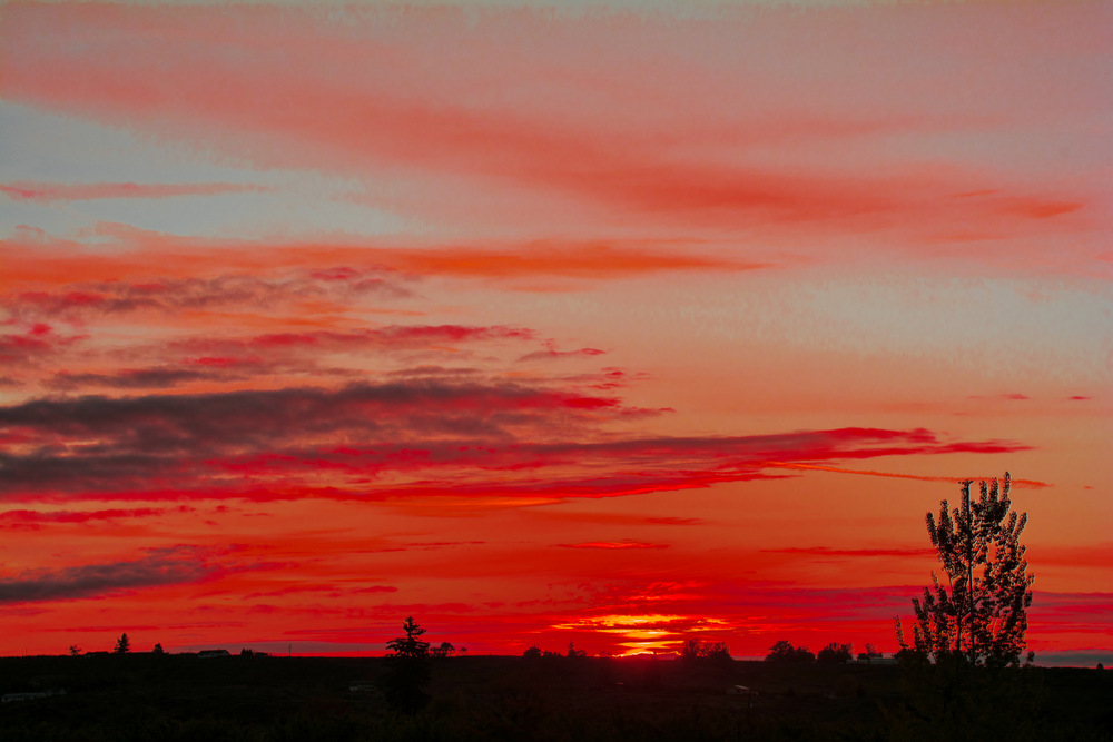 DSC_2739.jpg