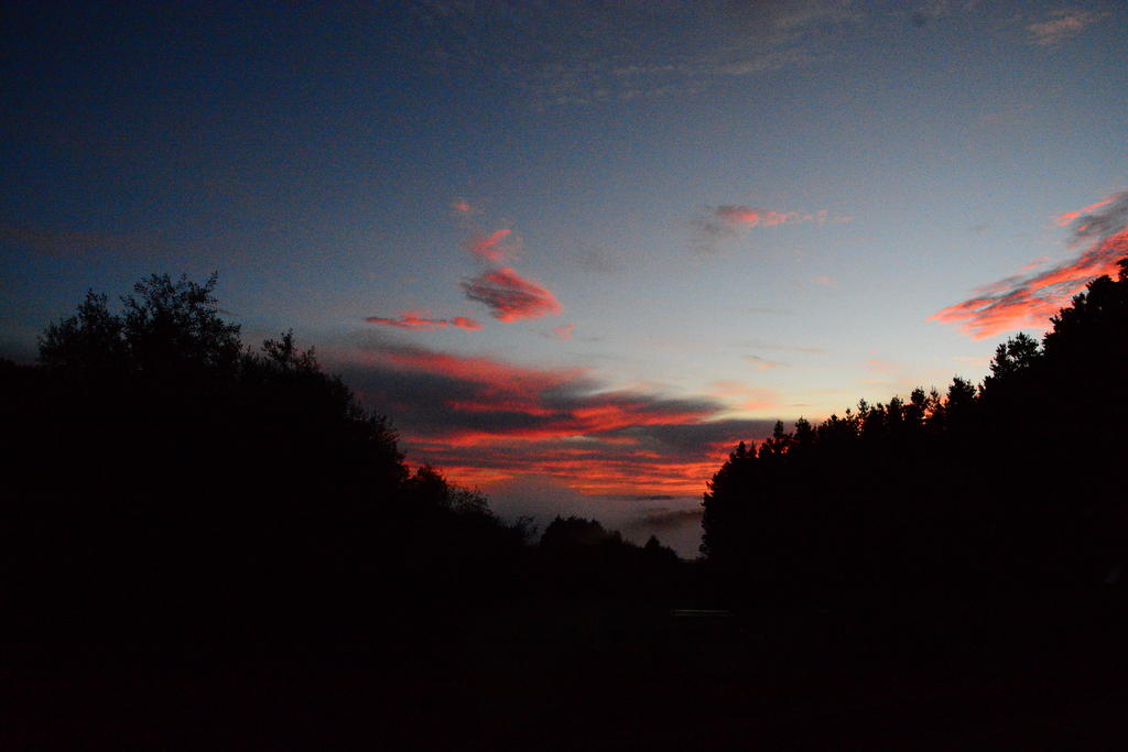 DSC_2741.jpg
