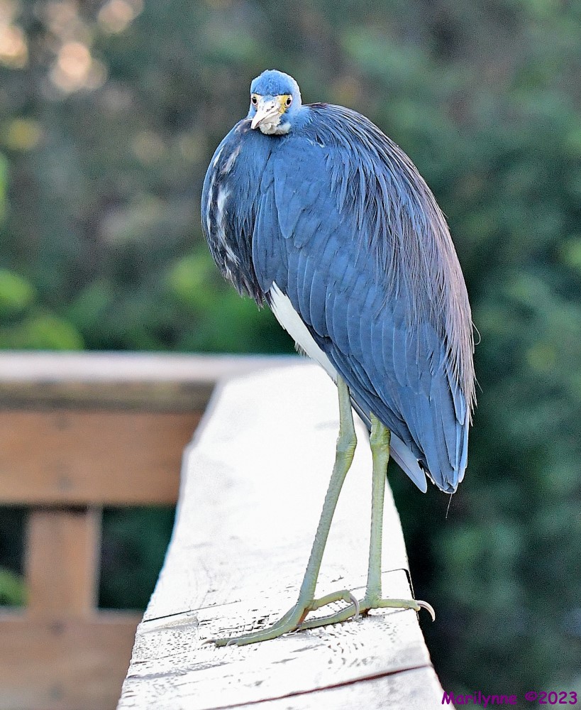 DSC_2743_001.JPG