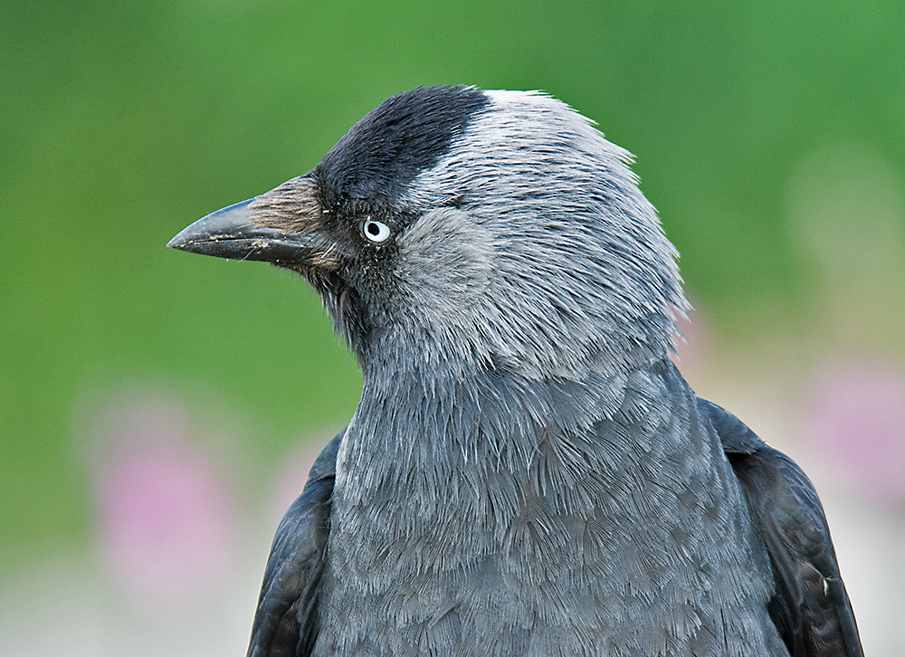 DSC_2744.jpg