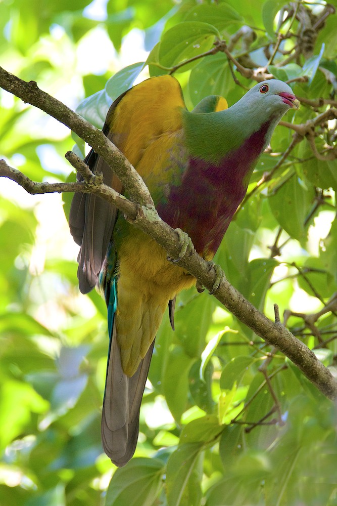 DSC_2745.jpg