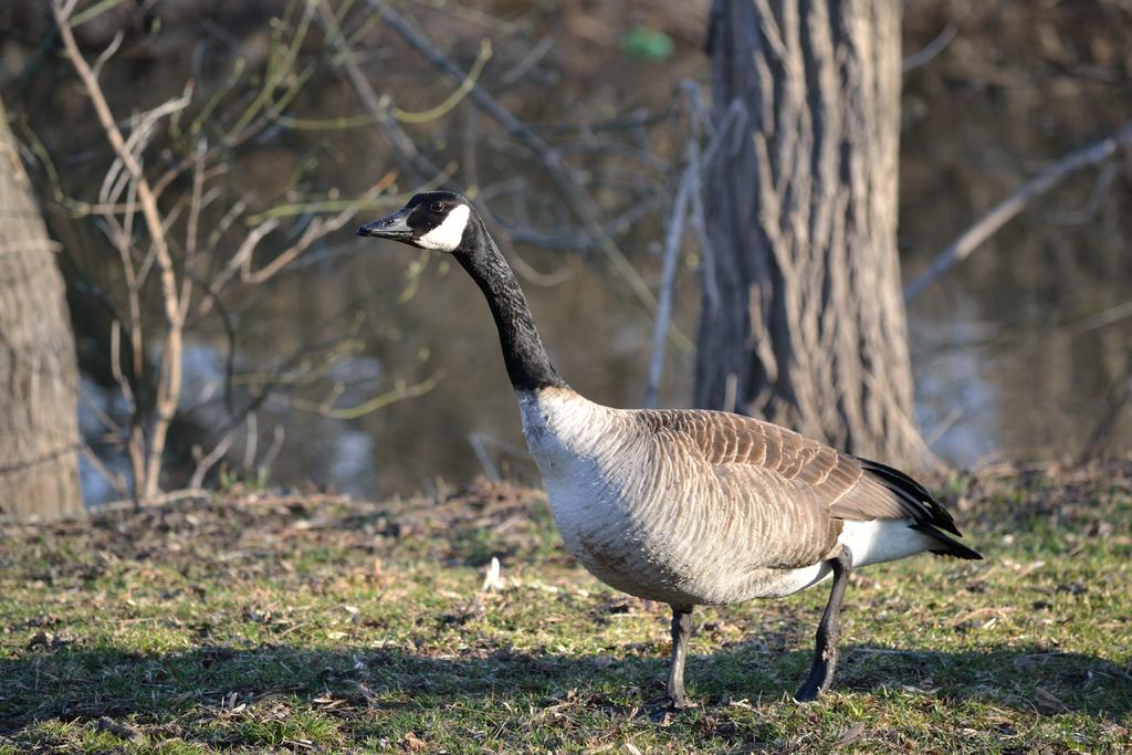 DSC_2747.jpg