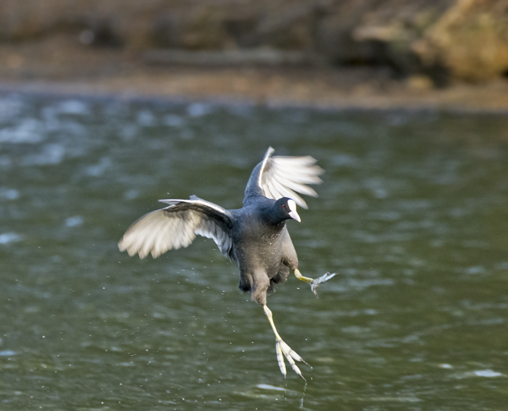 DSC_2749.jpg