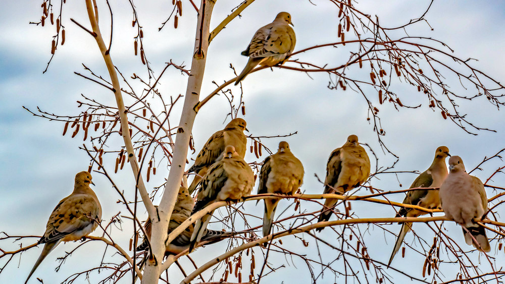 DSC_2750-HDR-Edit-001.jpg