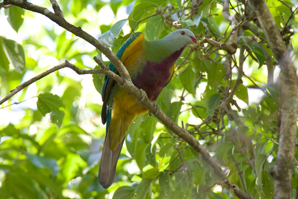 DSC_2750.jpg