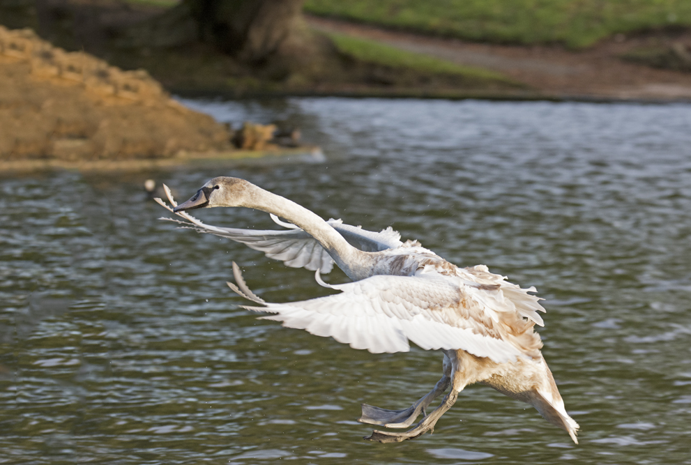 DSC_2755.jpg