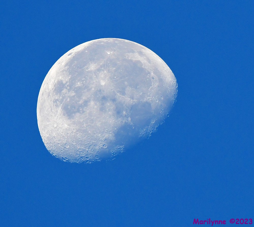 DSC_2757_001.JPG
