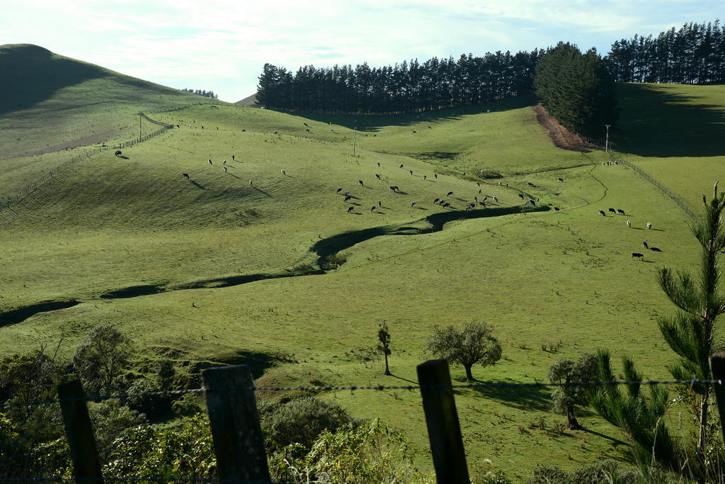 DSC_2764.jpg