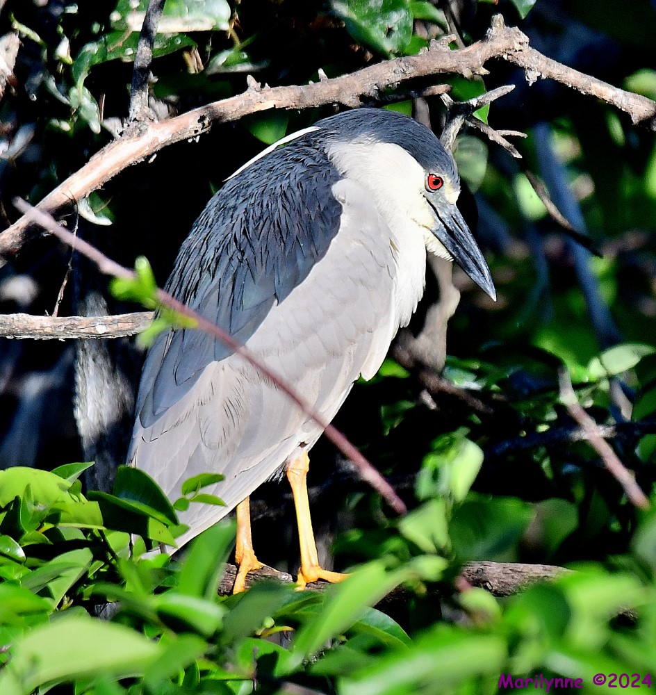 DSC_2765_001.JPG
