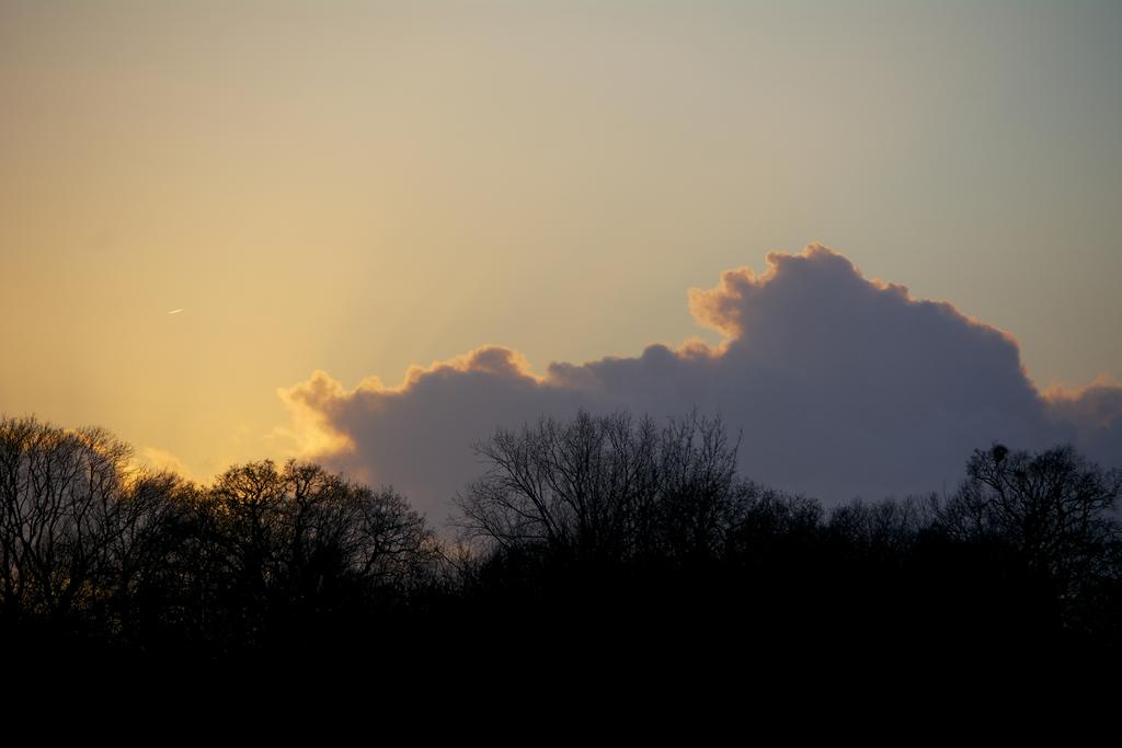 DSC_2767.jpg