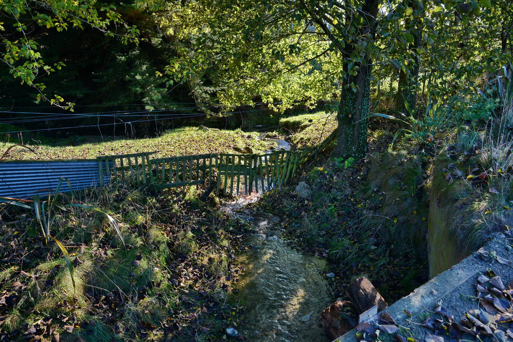 DSC_2771.jpg