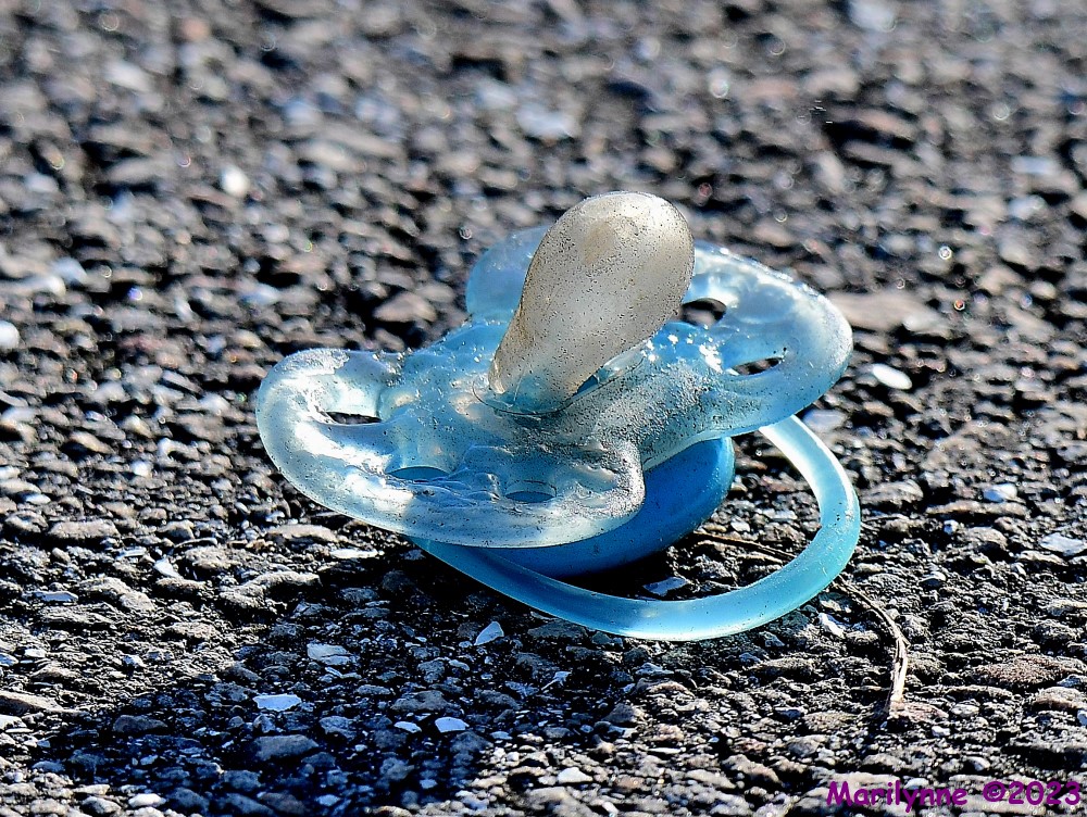 DSC_2772_001.JPG