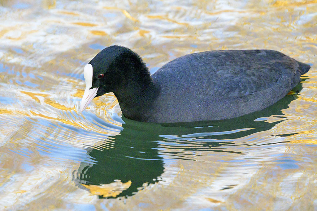 DSC_2775.jpg