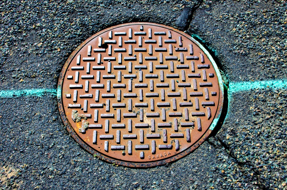 DSC_2777.jpg