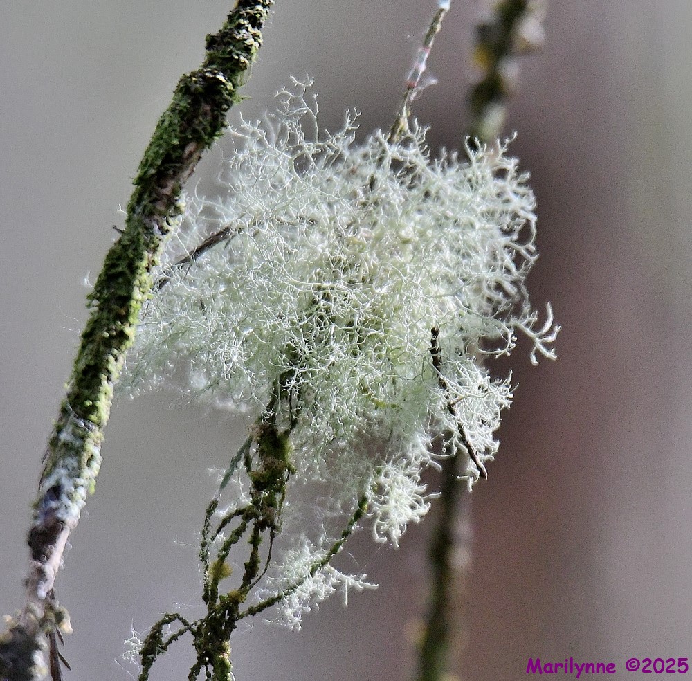 DSC_2780_001.JPG