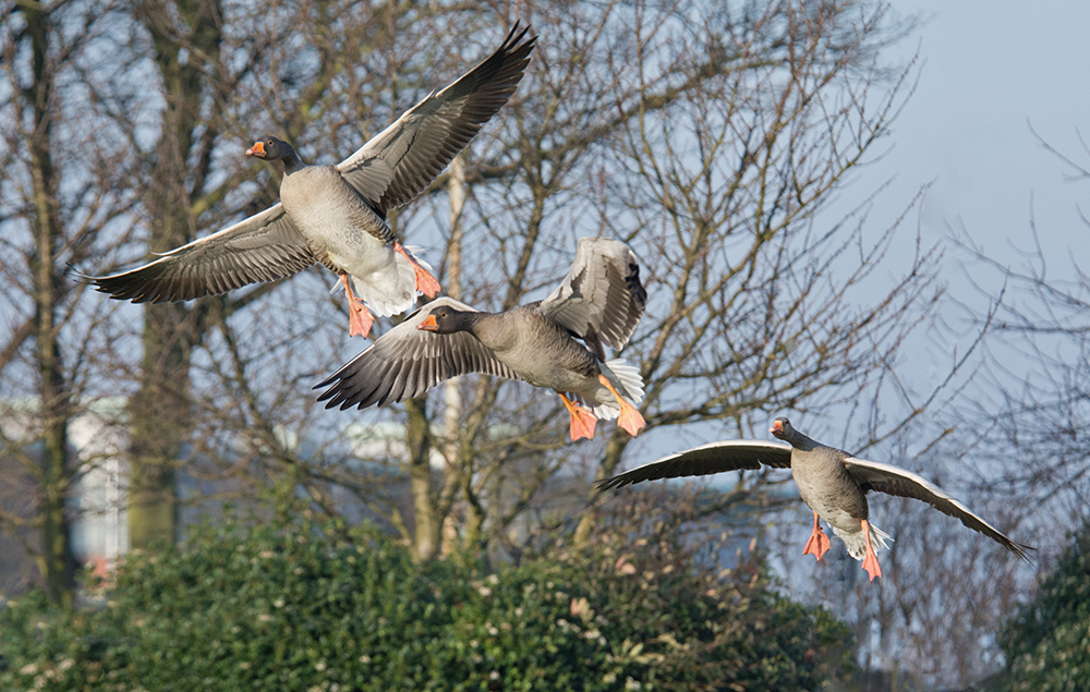 DSC_2784.jpg