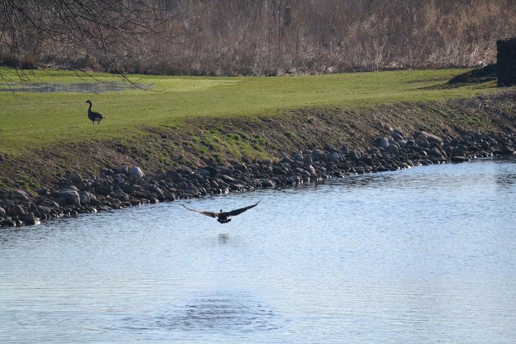DSC_2784.jpg