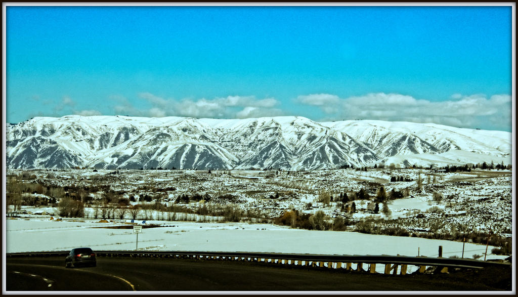 DSC_2786-Edit.jpg