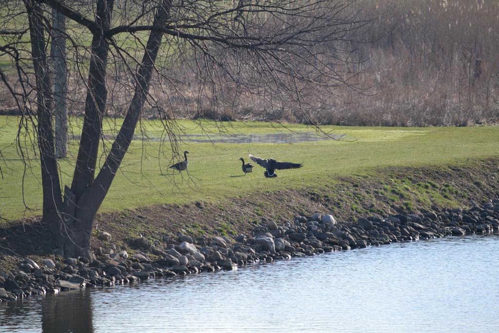 DSC_2786.jpg
