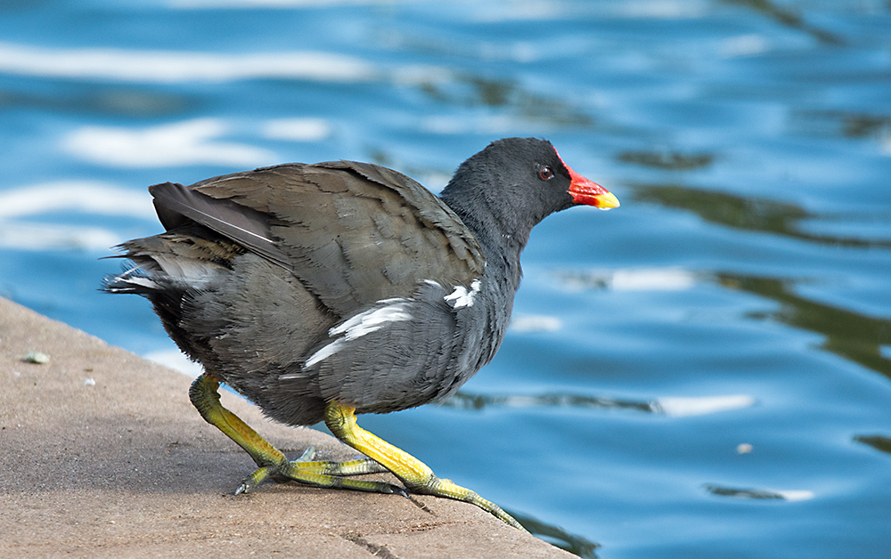 DSC_2789.jpg