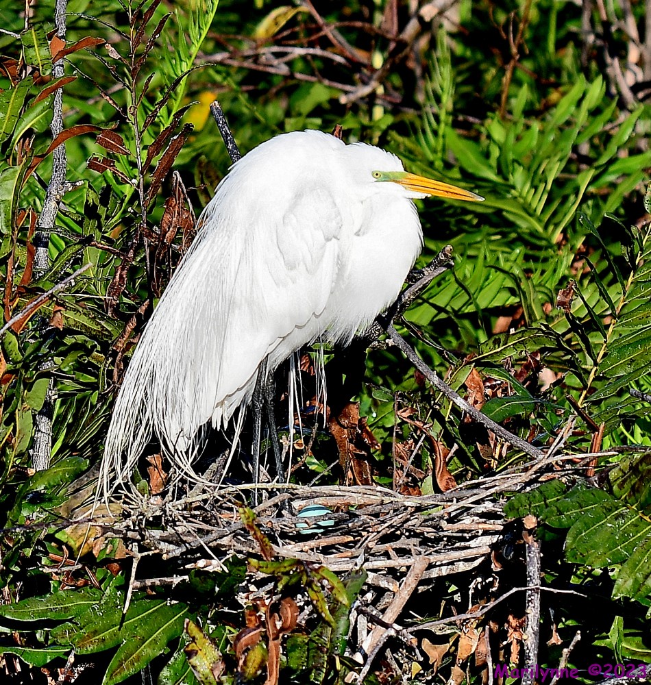 DSC_2789_001.JPG