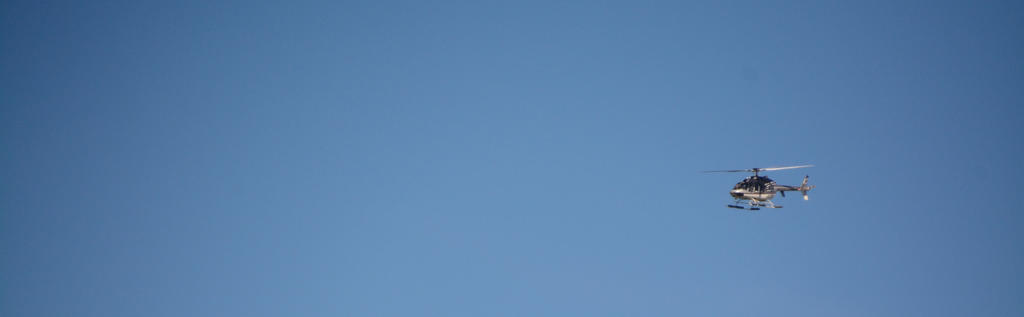 DSC_2790.jpg